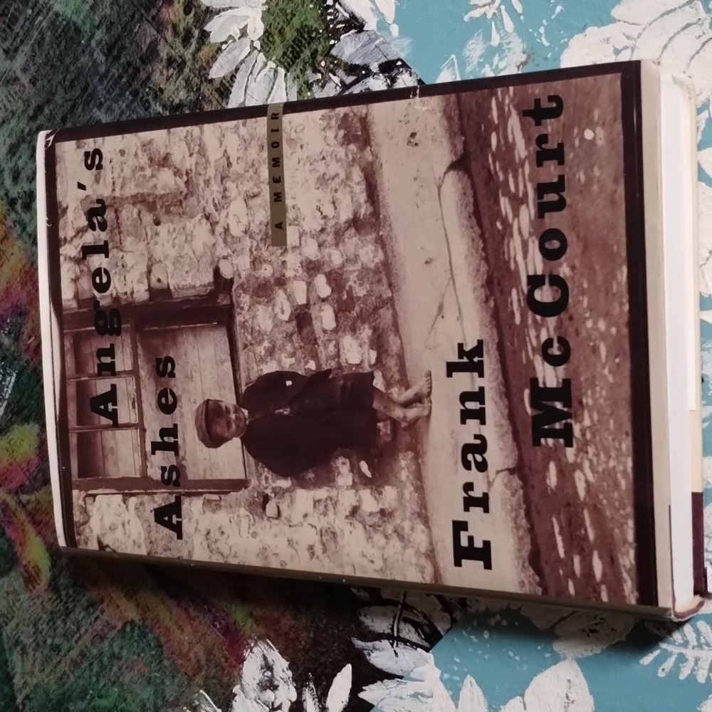 Angela's Ashes Novel